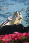 산지앙 인터내셔널 호텔 - 뷰