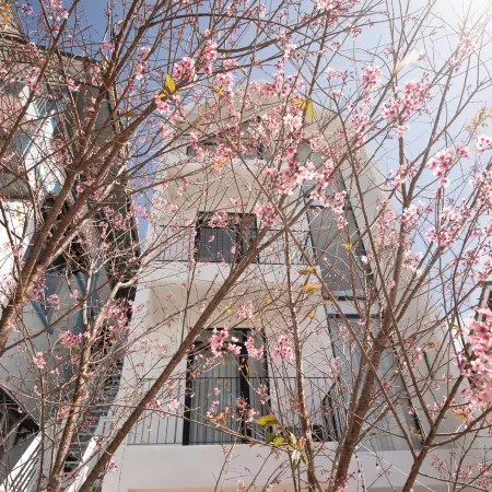 THE ARIX House & Studio