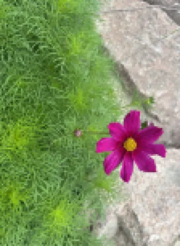 特克斯天鵝驛站（八卦城中心太極壇店）