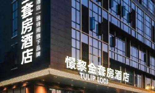 TULIP LODJ (Wuhan Jianghan Road Wusheng Road Subway Station)