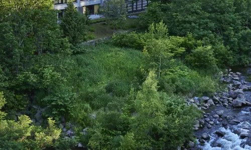 Chalet Ivy Jozankei