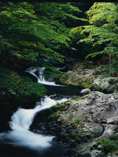 ホテルからの眺望 白壁荘の写真