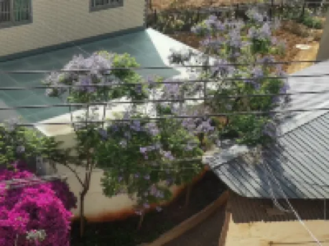 Kunming Youth Utopia Flower Room Homestay