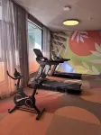 Orange Hotel (Anshun Huangguoshu Scenic Area Longgong Road Branch) - Gym
