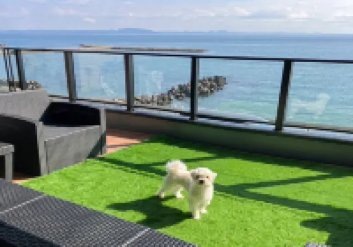 テラスでゆったりオーシャンビュー｜ジャグジー、無料駐車場付｜小型犬可｜ル グランブリュリゾート長沢