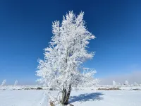 Urumqi County Freedom Mountains Homestay - Mountain view