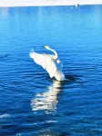 Hotel Indigo Sayram Lake - Scenic