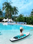 Blue Bird·Infinity Pool Designer Ocean Villa (Riyuewan Store)Wanning