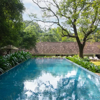 EKHO Sigiriya - 700 meters to Sigiriya Rock シーギリヤ周辺のホテル