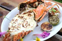Reef Haven Belize - breakfast