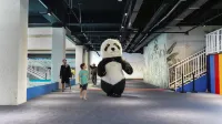 Jing Ting Sea View Hotel(Surfwave Island Water Park) - Gym