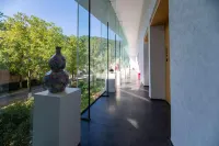 Mystic Realm Sanbao Design and Collection Homestay - สัตว์เลี้ยง