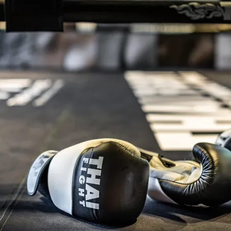 Thai Fight Hotel