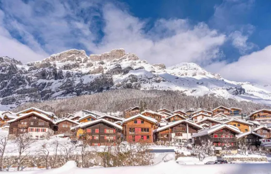 格里奇廷和巴德內霍夫酒店