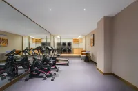 Vienna International Hotel (Shanxian Huxi Park) - Gym