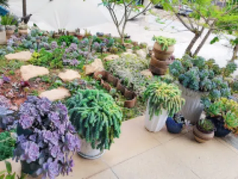 Gu'an Inn Hotels near Puer Railway Station