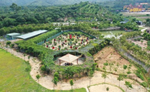 Vienna Apartments (Huizhou Daya Bay Gold Coast)