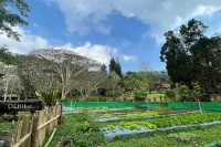 Phu Ing Fah Resort - Bintang 3