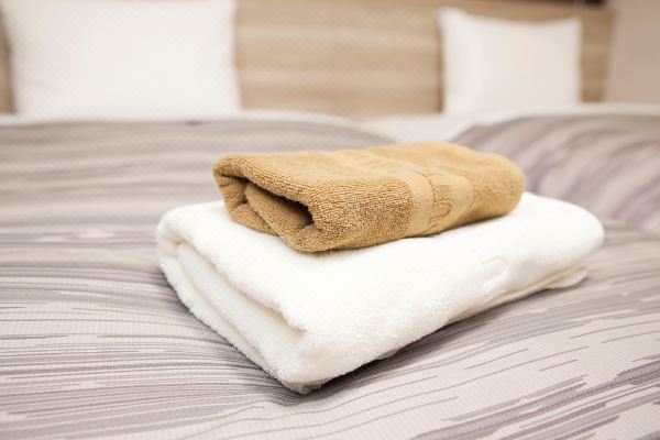 호텔 루트 인 미카와 인터(Hotel Route-Inn Mikawa Inter)_3