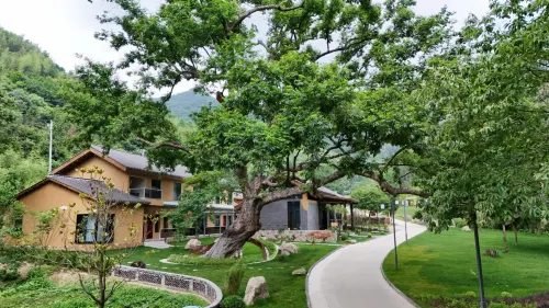 Spring Mountain Willow Meets Homestay Отели в г. Цзинчжай