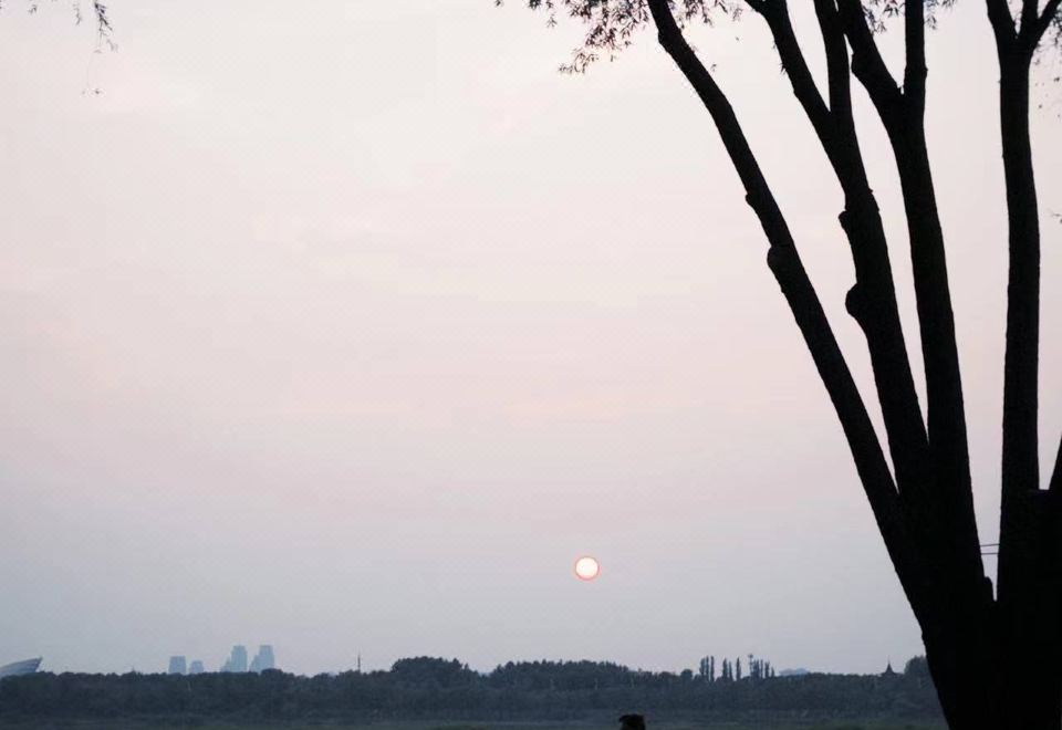 Jiangye Homestay의 편안한 객실