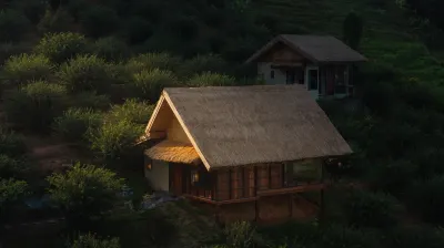 Chai Cheevit Maesa