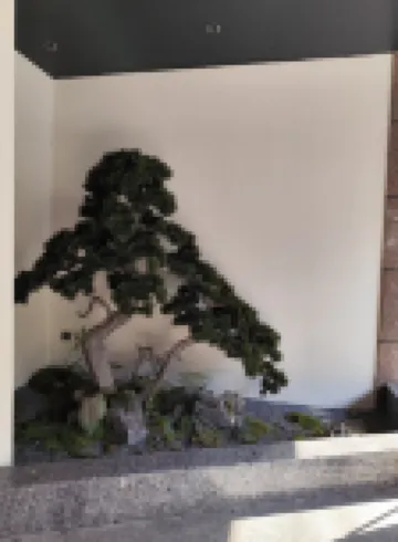 Junna Meisu Hotel (Yintan Qiaogang Style Street) Hotels near Qiaogang Fengqing Street