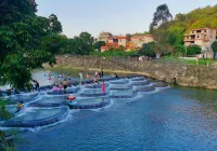 歡季·美宿（揭西河婆客運站店）