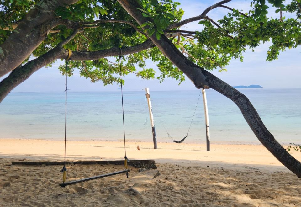 2. 코럴 리프 홀리..