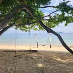 Coral Reef Holidays