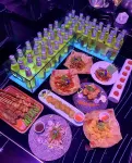Ristar Hotel - 2-Sterne