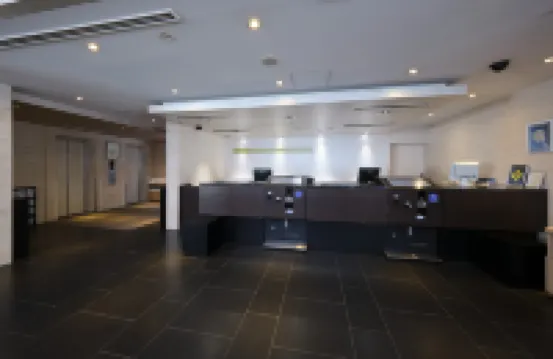 Hotel Villa Fontaine Tokyo-Hatchobori