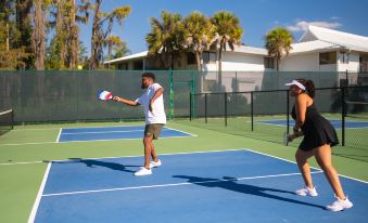 Saddlebrook Resort