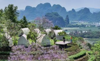 T Manor Tent camp