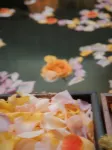 Cloudspa Sanctuary - Hot Springs