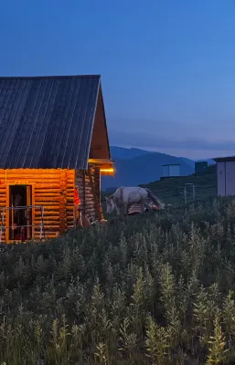 Blooming Snow Pillow Cabin · Fusion Aesthetic Restaurant & Cozy Stay·Kanas ScenicArea Bonfire Night - bar