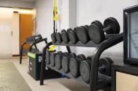 Warmthotel - palestra