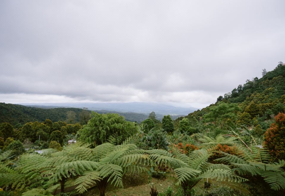 무눅 멘니르 빌라 수영장