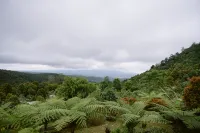 Munduk Menir Villas Hotels in Munduk