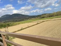 Peak Tree House Hotels near هنجتشين