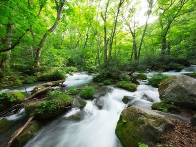 ホテル周辺 星野リゾート 奥入瀬渓流ホテルの写真