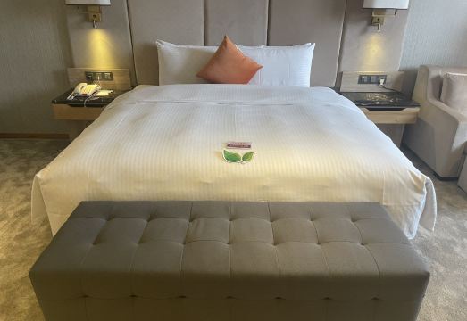 체크 인 셀렉트 타이난 융캉