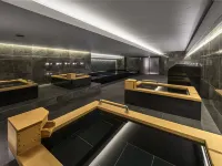 Villa Fontaine Grand Osaka Umeda Hotele w: Osaka