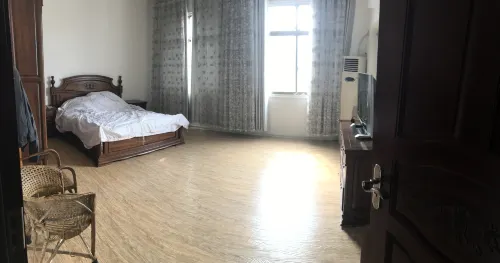 Rice Field & Laurel Tree Hostel