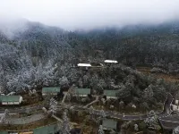 霽嵐·青竹雲棲 桂東住宿飯店