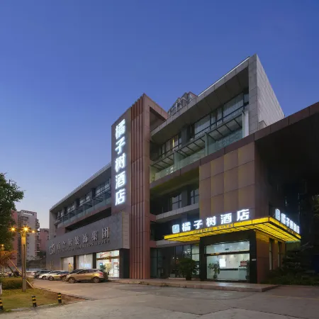 Orange Tree Hotel (Ziyang Wanda Plaza)