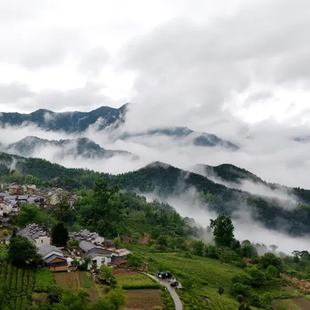 fuyunxuan