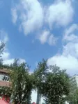 Junyue Hotel