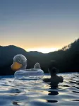 ShringSense Hostel - Swimmingpools