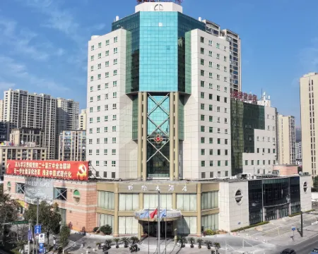 平陽國際大酒店 平陽酒店